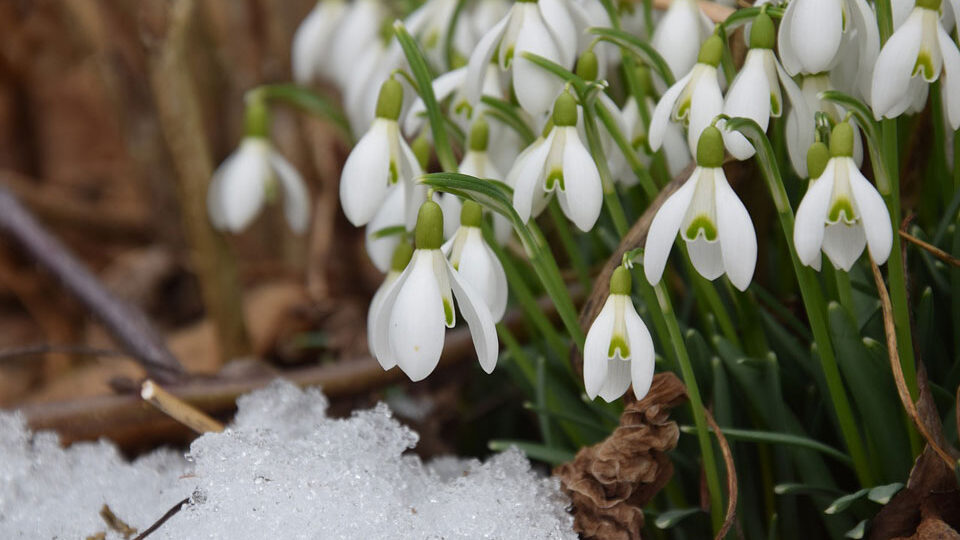 March 2026 Holidays: How Russians Rest on 8 March Weekend